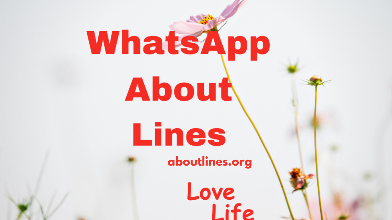 WhatsApp About Lines