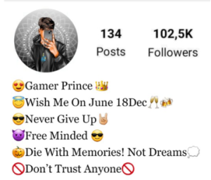 Gamer Bio For Instagram